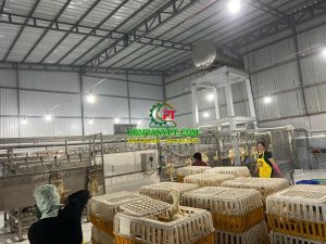 dây chuyền giết mổ vịt