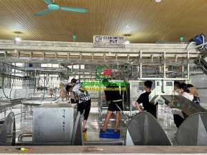 dây chuyền giết mổ gà vịt