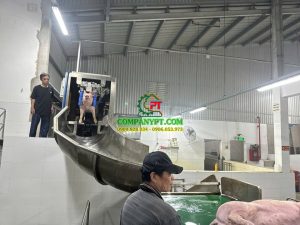 NHÀ MÁY GIẾT MỔ GIA SÚC XUÂN THỚI THƯỢNG