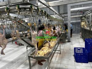 NHÀ MÁY GIẾT MỔ GIA SÚC, GIA CẦM VŨ NGỌC - ĐỨC HOÀ, LONG AN