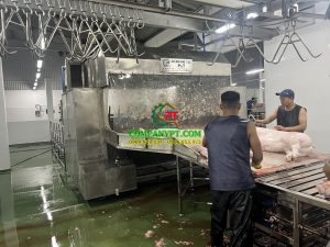 máy giết mổ heo