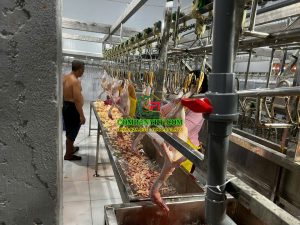 NHÀ MÁY GIẾT MỔ GIA SÚC, GIA CẦM VŨ NGỌC - ĐỨC HOÀ, LONG AN