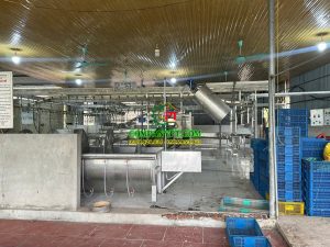 dây chuyền giết mổ gà vịt