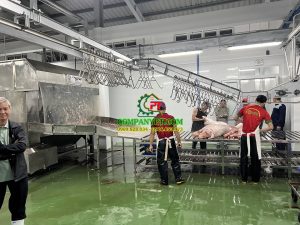 máy giết mổ heo