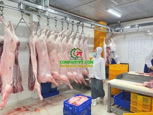 nhà máy giết mổ heo