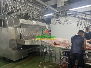 máy giết mổ heo