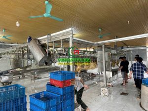 dây chuyền giết mổ gà vịt