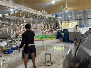 dây chuyền giết mổ gà vịt