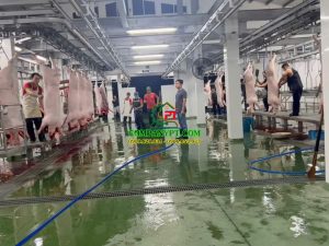 máy giết mổ heo