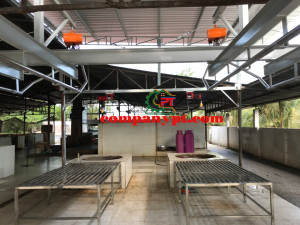 DÂY CHUYỀN GIẾT MỔ HEO VỪA VÀ NHỎ