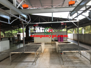 dây chuyền giết mổ heo