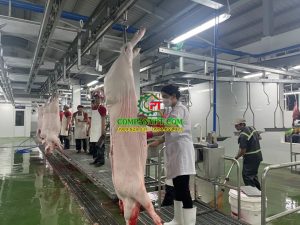 máy giết mổ heo