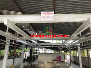 DÂY CHUYỀN GIẾT MỔ HEO VỪA VÀ NHỎ