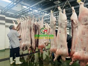 máy giết mổ heo