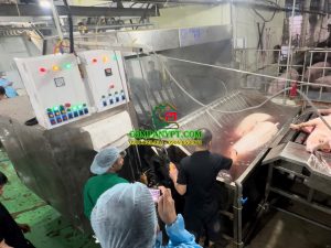 NHÀ MÁY GIẾT MỔ GIA SÚC BAF VIỆT NAM