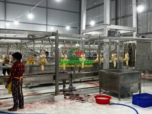 dây chuyền giết mổ vịt
