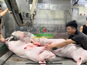 NHÀ MÁY GIẾT MỔ GIA SÚC BAF VIỆT NAM