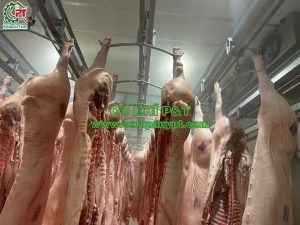 ĐƯỜNG RAY TREO HEO