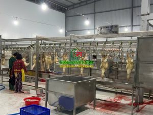 dây chuyền giết mổ vịt
