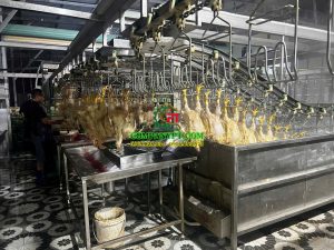CƠ SỞ GIẾT MỔ GIA CẦM NGUYỄN VĂN QUANG - DĨ AN, BÌNH DƯƠNG