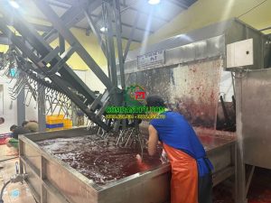 máy đánh lông heo