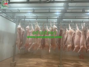 ĐƯỜNG RAY TREO HEO