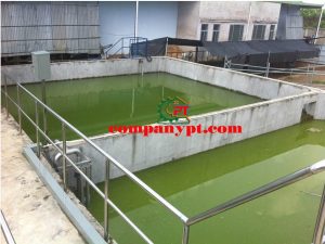 "công nghệ xử lý nước thải