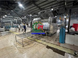 dây chuyền giết mổ heo