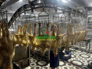 CƠ SỞ GIẾT MỔ GIA CẦM NGUYỄN VĂN QUANG - DĨ AN, BÌNH DƯƠNG