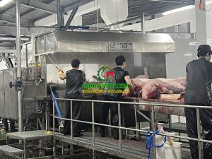 NHÀ MÁY GIẾT MỔ GIA SÚC XUÂN THỚI THƯỢNG