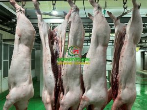 NHÀ MÁY GIẾT MỔ GIA SÚC BAF VIỆT NAM