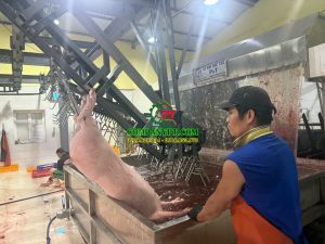 máy cạo lông heo