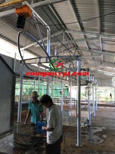 dây chuyền giết mổ heo