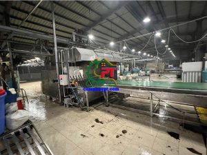 dây chuyền giết mổ heo công nghiệp