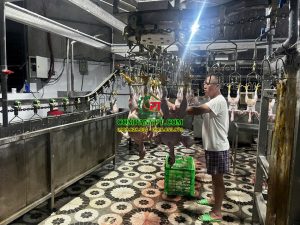 dây chuyền giết mổ gia cầm