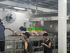 máy giết mổ heo