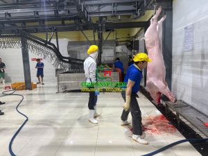 máy đánh lông heo