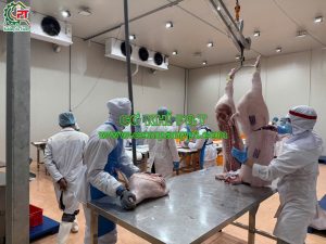 ĐƯỜNG RAY TREO HEO