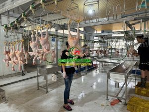 dây chuyền giết mổ gà vịt