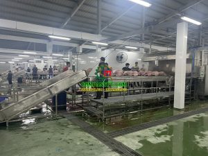 máy giết mổ heo