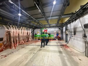 máy cạo lông heo