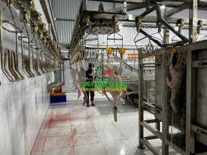 NHÀ MÁY GIẾT MỔ GIA SÚC, GIA CẦM VŨ NGỌC - ĐỨC HOÀ, LONG AN