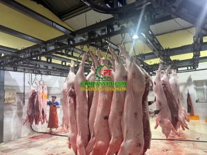 dây chuyền giết mổ heo