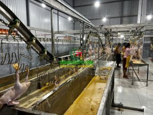 NHÀ MÁY GIẾT MỔ GIA SÚC, GIA CẦM VŨ NGỌC - ĐỨC HOÀ, LONG AN